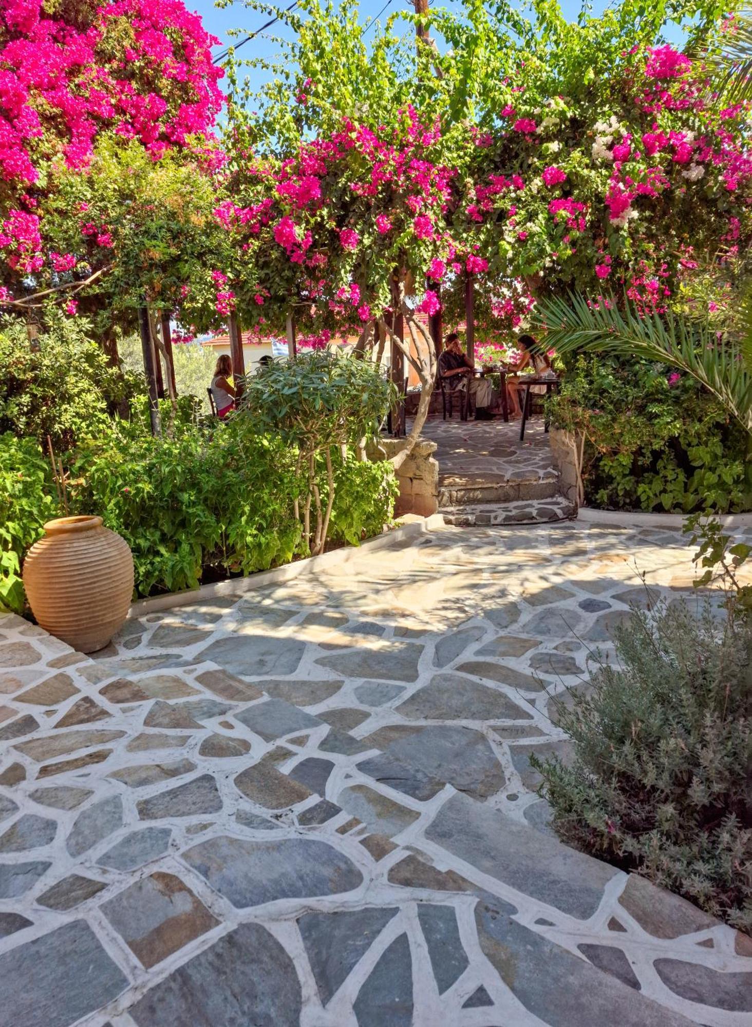Vagia Traditional, Aegina Island Luaran gambar