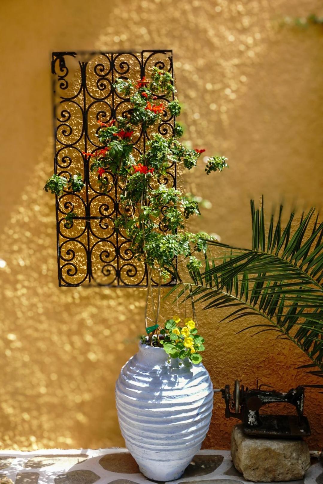 Vagia Traditional, Aegina Island Luaran gambar